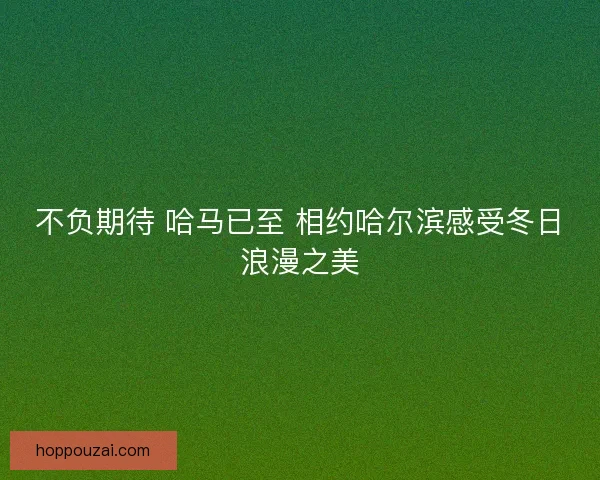 不负期待 哈马已至 相约哈尔滨感受冬日浪漫之美